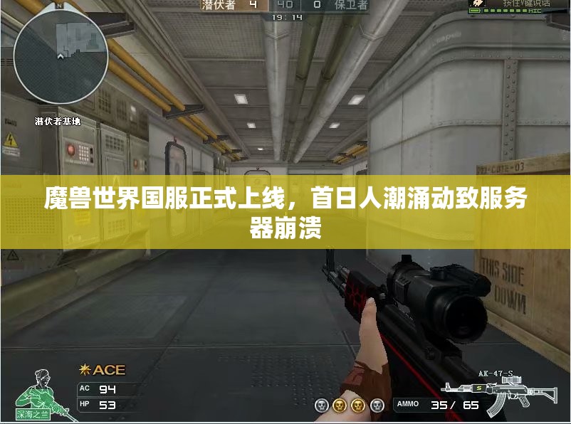 魔兽世界国服正式上线，首日人潮涌动致服务器崩溃