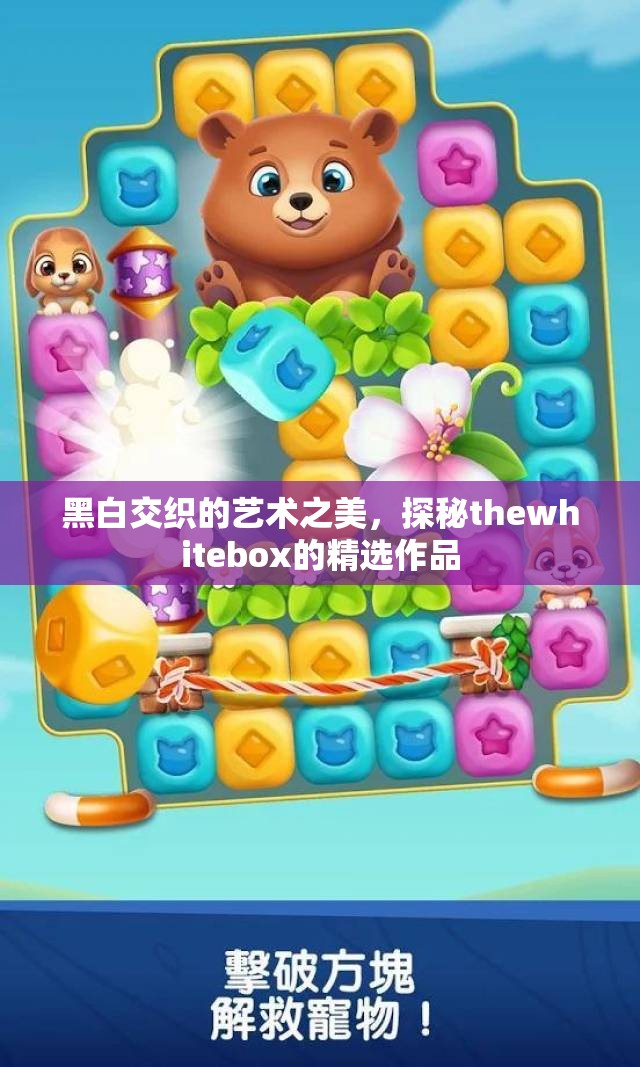 黑白交织的艺术之美，探秘thewhitebox的精选作品