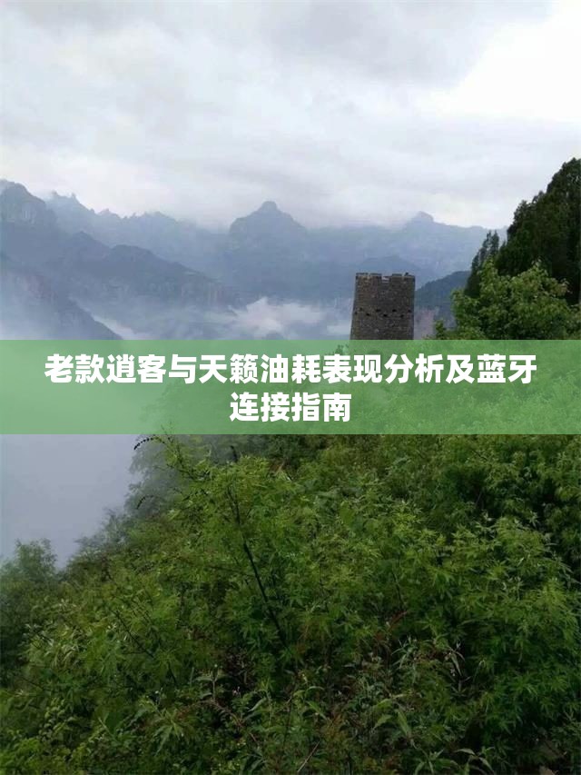老款逍客与天籁油耗表现分析及蓝牙连接指南