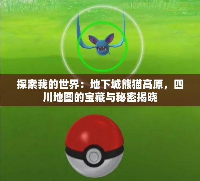 探索我的世界：地下城熊猫高原，四川地图的宝藏与秘密揭晓