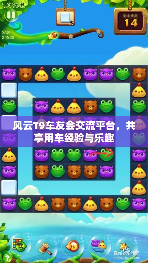 风云T9车友会交流平台，共享用车经验与乐趣