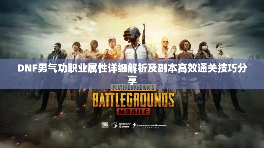 DNF男气功职业属性详细解析及副本高效通关技巧分享