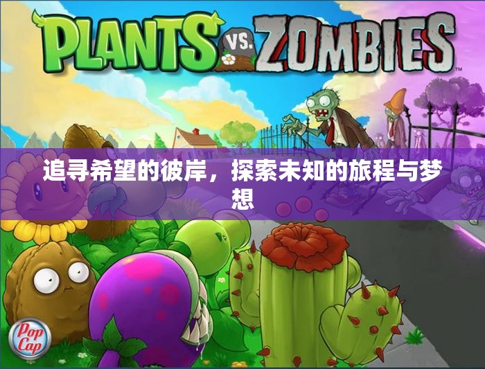 追寻希望的彼岸，探索未知的旅程与梦想