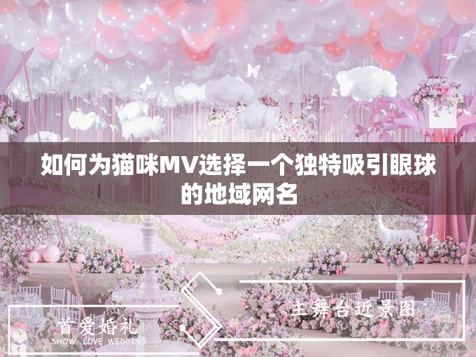 如何为猫咪MV选择一个独特吸引眼球的地域网名