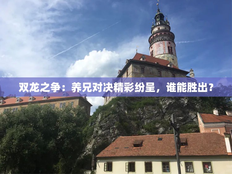 双龙之争：养兄对决精彩纷呈，谁能胜出？