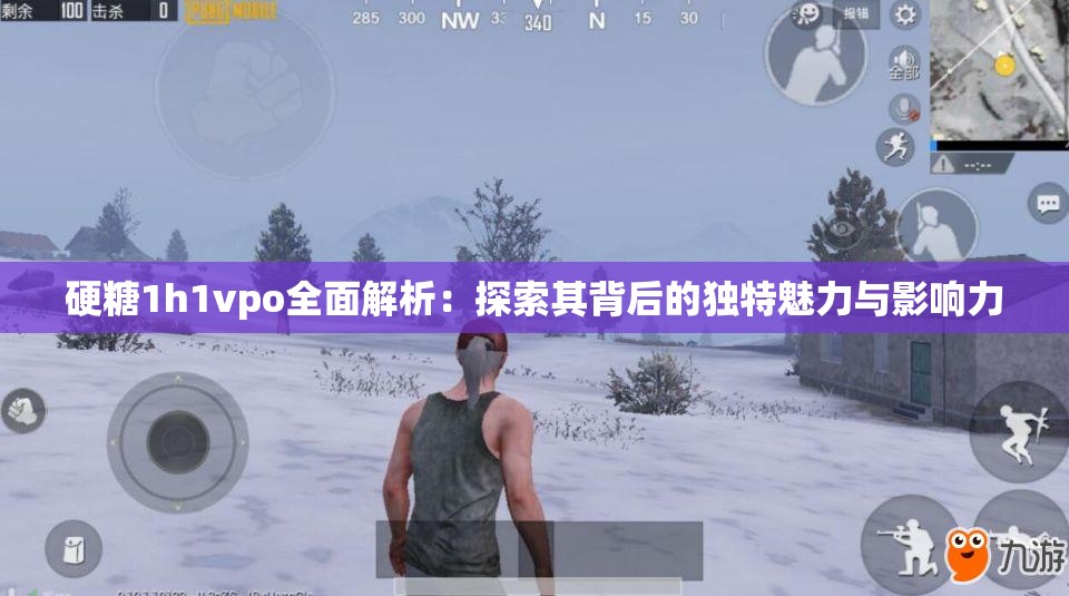 硬糖1h1vpo全面解析：探索其背后的独特魅力与影响力