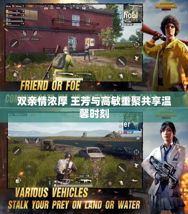双亲情浓厚 王芳与高敏重聚共享温馨时刻