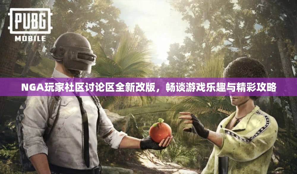 NGA玩家社区讨论区全新改版，畅谈游戏乐趣与精彩攻略