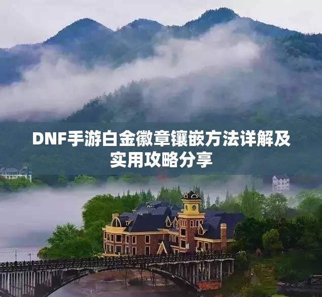 DNF手游白金徽章镶嵌方法详解及实用攻略分享