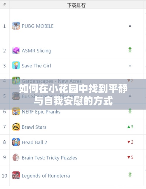 如何在小花园中找到平静与自我安慰的方式
