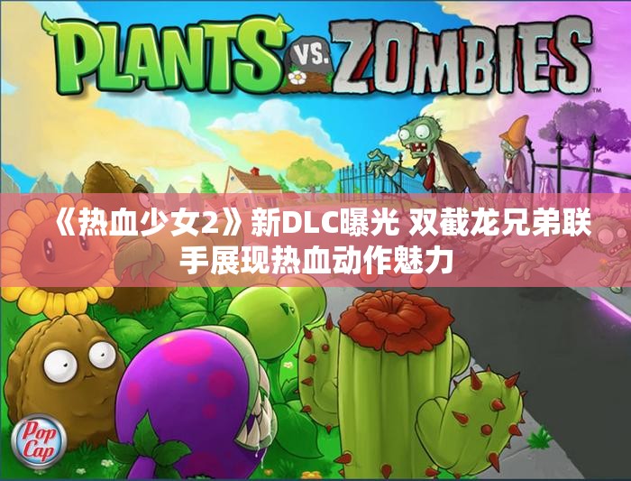 《热血少女2》新DLC曝光 双截龙兄弟联手展现热血动作魅力