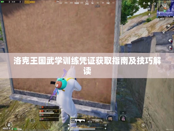 洛克王国武学训练凭证获取指南及技巧解读