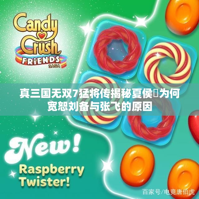 真三国无双7猛将传揭秘夏侯惇为何宽恕刘备与张飞的原因