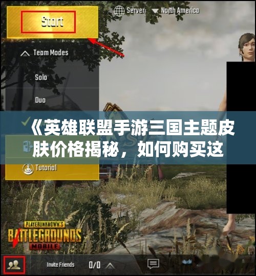 《英雄联盟手游三国主题皮肤价格揭秘，如何购买这些皮肤》