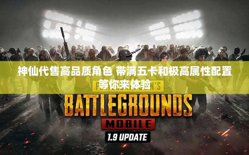 神仙代售高品质角色 带满五卡和极高属性配置等你来体验