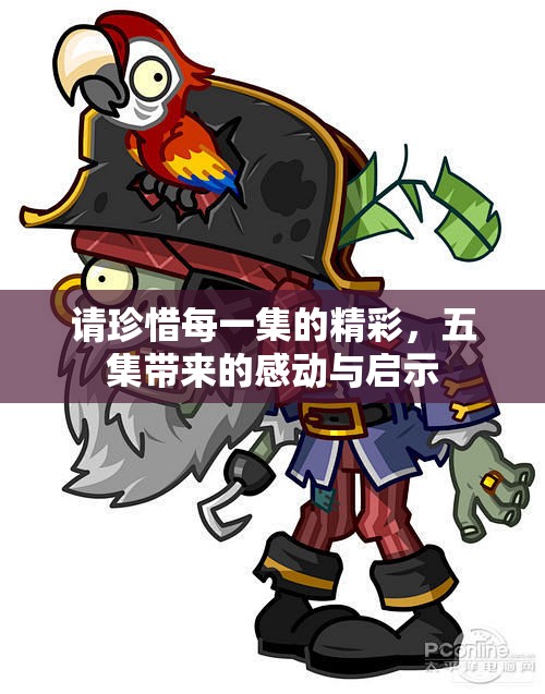 请珍惜每一集的精彩，五集带来的感动与启示