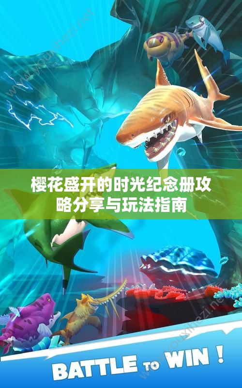 樱花盛开的时光纪念册攻略分享与玩法指南