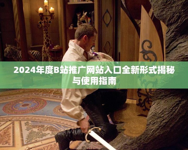 2024年度B站推广网站入口全新形式揭秘与使用指南