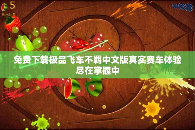 免费下载极品飞车不羁中文版真实赛车体验尽在掌握中