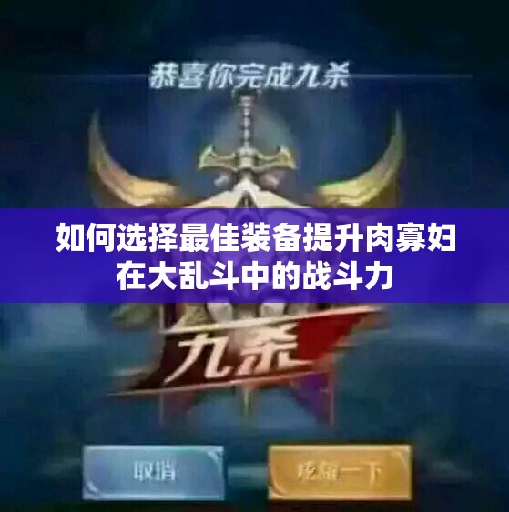 如何选择最佳装备提升肉寡妇在大乱斗中的战斗力