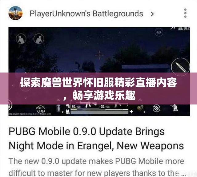 探索魔兽世界怀旧服精彩直播内容，畅享游戏乐趣