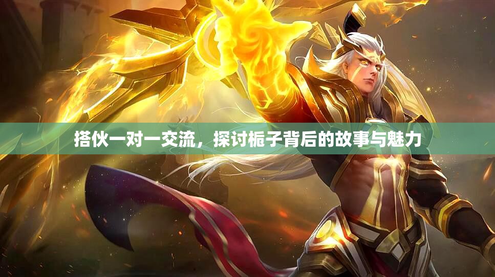搭伙一对一交流，探讨栀子背后的故事与魅力