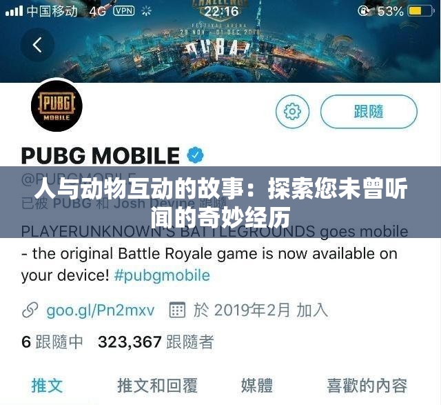 人与动物互动的故事：探索您未曾听闻的奇妙经历