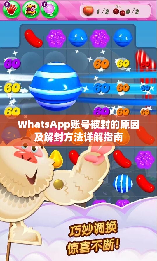 WhatsApp账号被封的原因及解封方法详解指南
