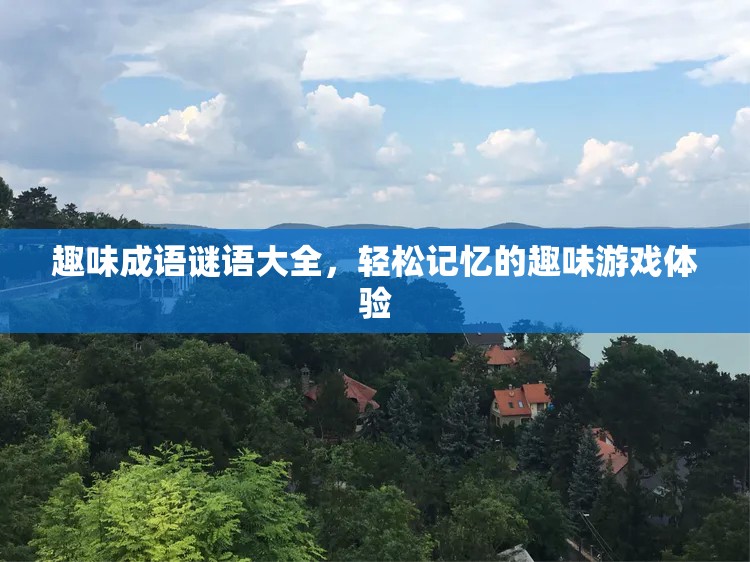 趣味成语谜语大全，轻松记忆的趣味游戏体验