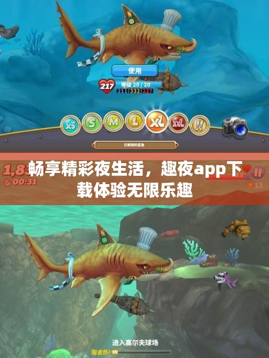 畅享精彩夜生活，趣夜app下载体验无限乐趣
