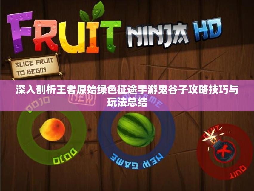 深入剖析王者原始绿色征途手游鬼谷子攻略技巧与玩法总结