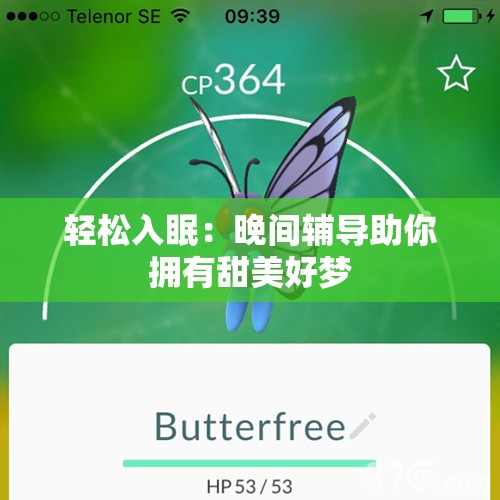 轻松入眠：晚间辅导助你拥有甜美好梦