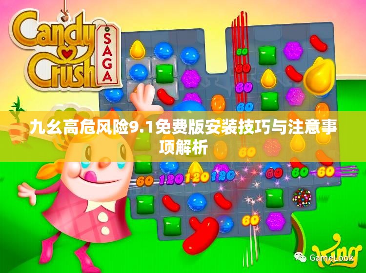 九幺高危风险9.1免费版安装技巧与注意事项解析