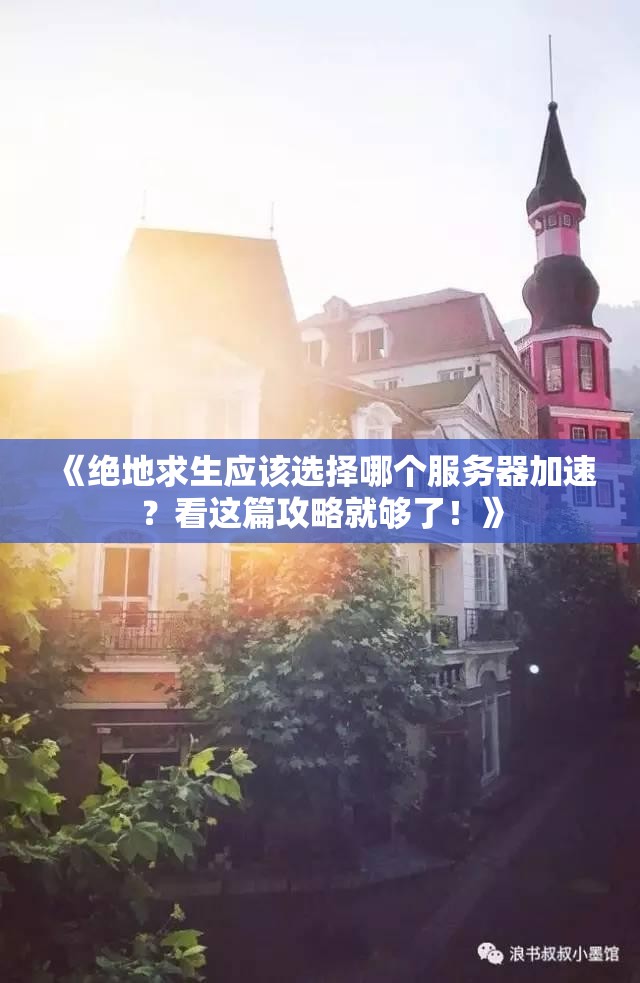《绝地求生应该选择哪个服务器加速？看这篇攻略就够了！》
