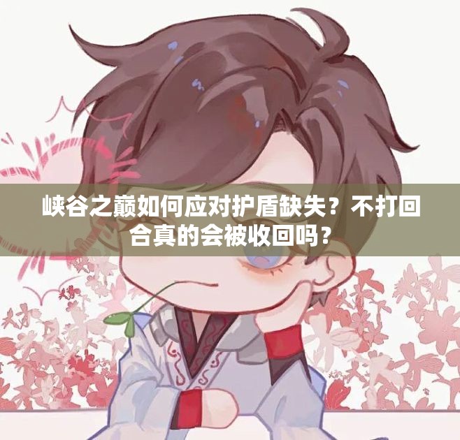 峡谷之巅如何应对护盾缺失？不打回合真的会被收回吗？