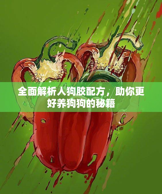 全面解析人狗胶配方，助你更好养狗狗的秘籍