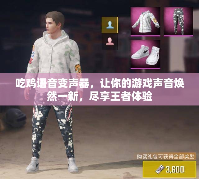 吃鸡语音变声器，让你的游戏声音焕然一新，尽享王者体验