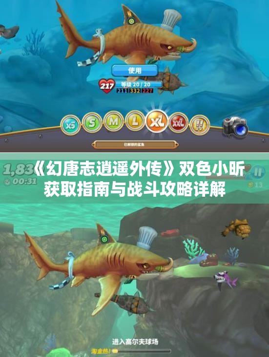 《幻唐志逍遥外传》双色小昕获取指南与战斗攻略详解