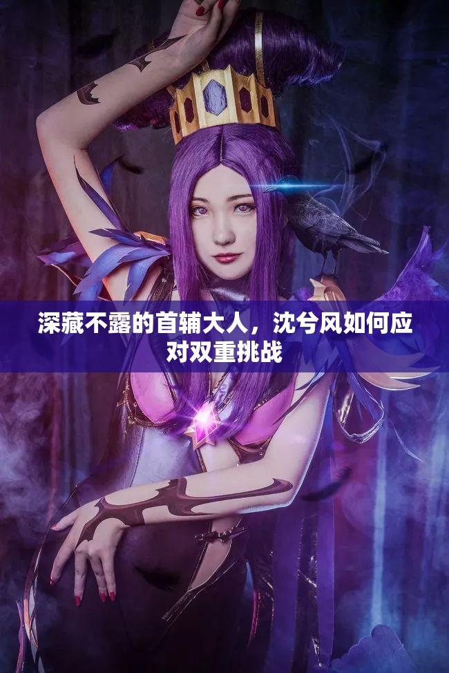 深藏不露的首辅大人，沈兮风如何应对双重挑战