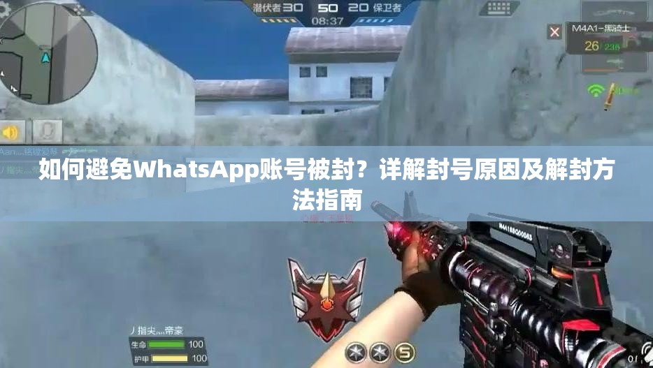 如何避免WhatsApp账号被封？详解封号原因及解封方法指南