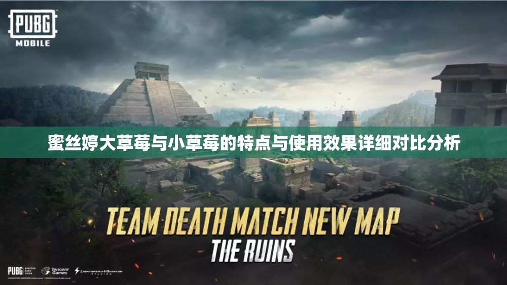 蜜丝婷大草莓与小草莓的特点与使用效果详细对比分析