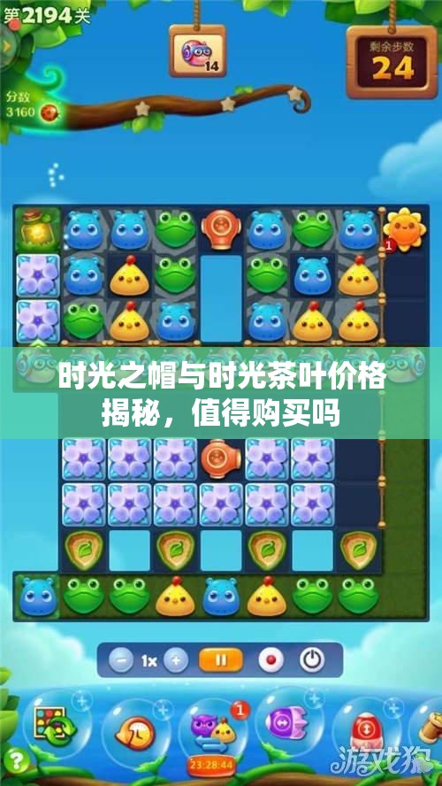 时光之帽与时光茶叶价格揭秘，值得购买吗
