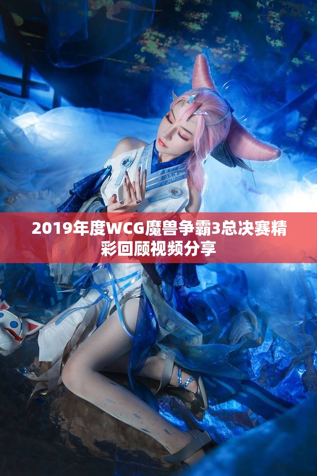 2019年度WCG魔兽争霸3总决赛精彩回顾视频分享
