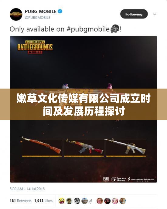 嫩草文化传媒有限公司成立时间及发展历程探讨