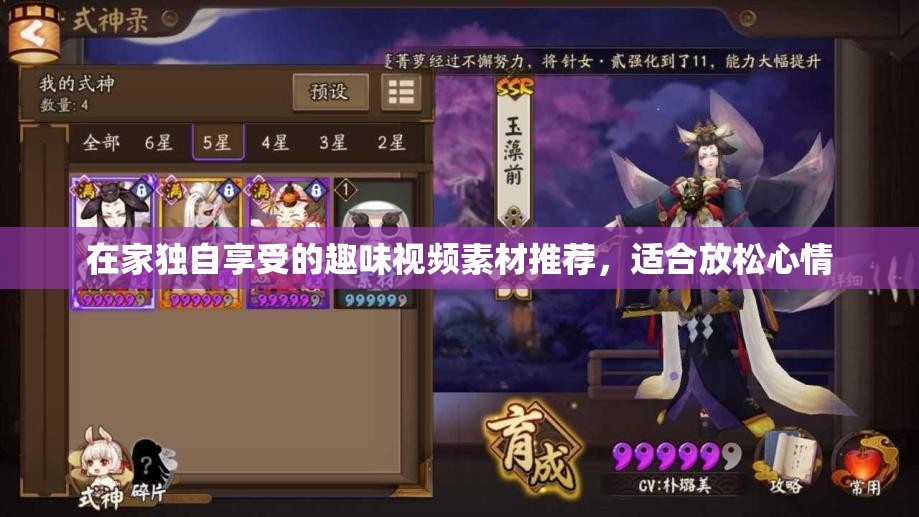 在家独自享受的趣味视频素材推荐，适合放松心情