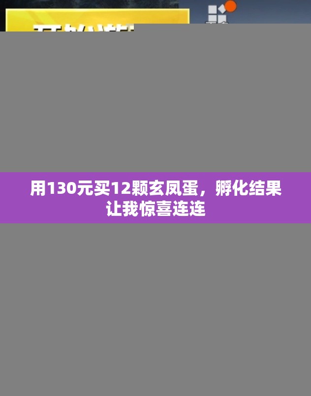 用130元买12颗玄凤蛋，孵化结果让我惊喜连连