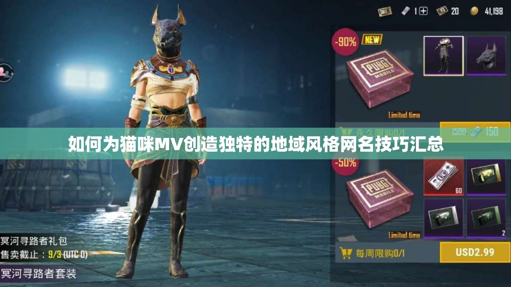 如何为猫咪MV创造独特的地域风格网名技巧汇总