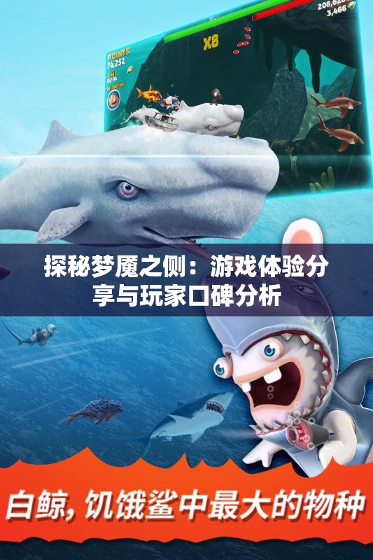 探秘梦魇之侧：游戏体验分享与玩家口碑分析