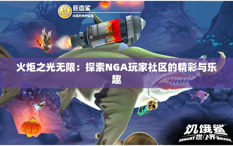 火炬之光无限：探索NGA玩家社区的精彩与乐趣