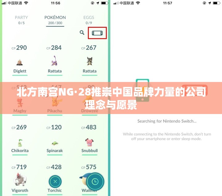 北方南宫NG·28推崇中国品牌力量的公司理念与愿景